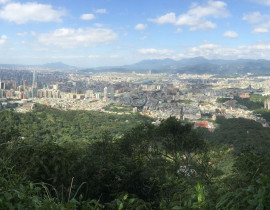 四獸山 虎山主峰-九五峰