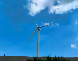 桃園觀音天然氣接收站海域淨灘