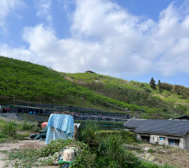 2025.10.18 司馬限林道踏查