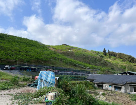 2025.10.18 司馬限林道踏查